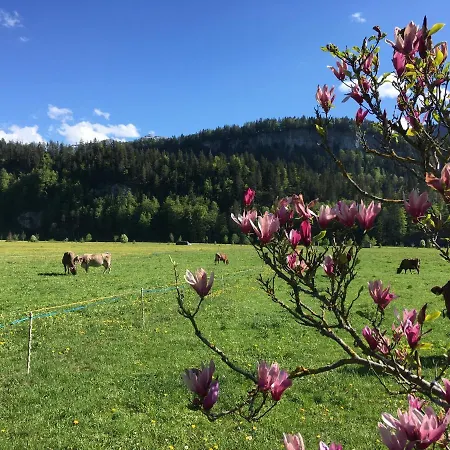 Roessle * Bezau