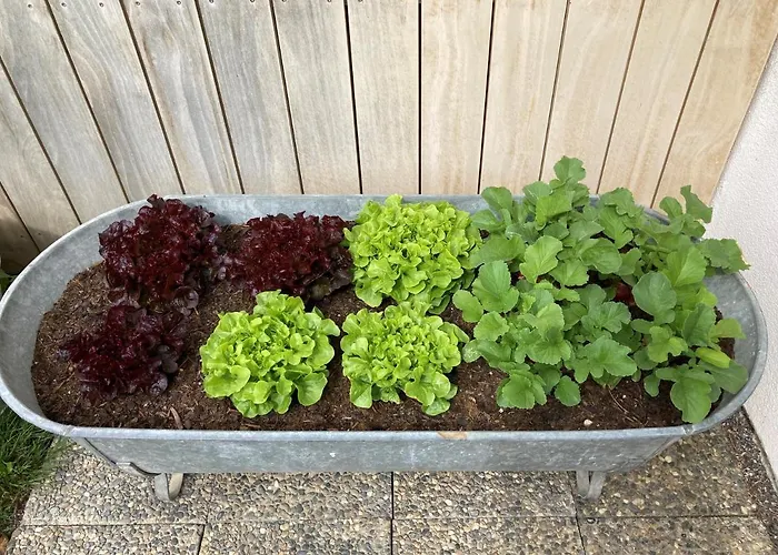 Roessle Appartement *