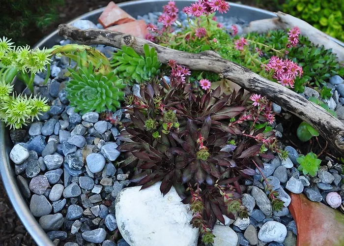 Appartement Roessle *